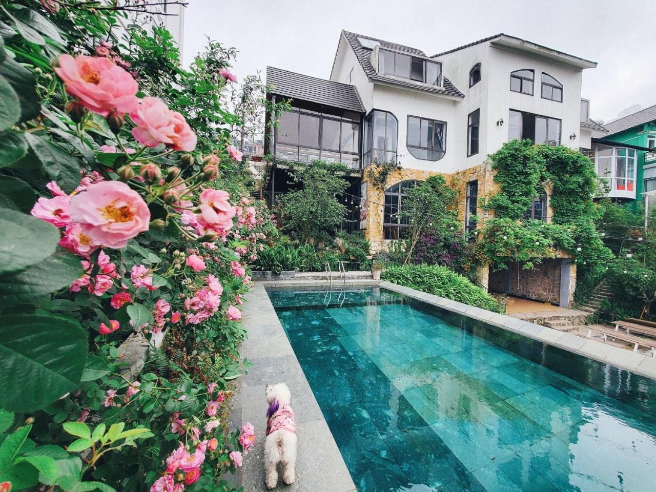 Le Vent Tam Dao Homestay Bagian luar foto