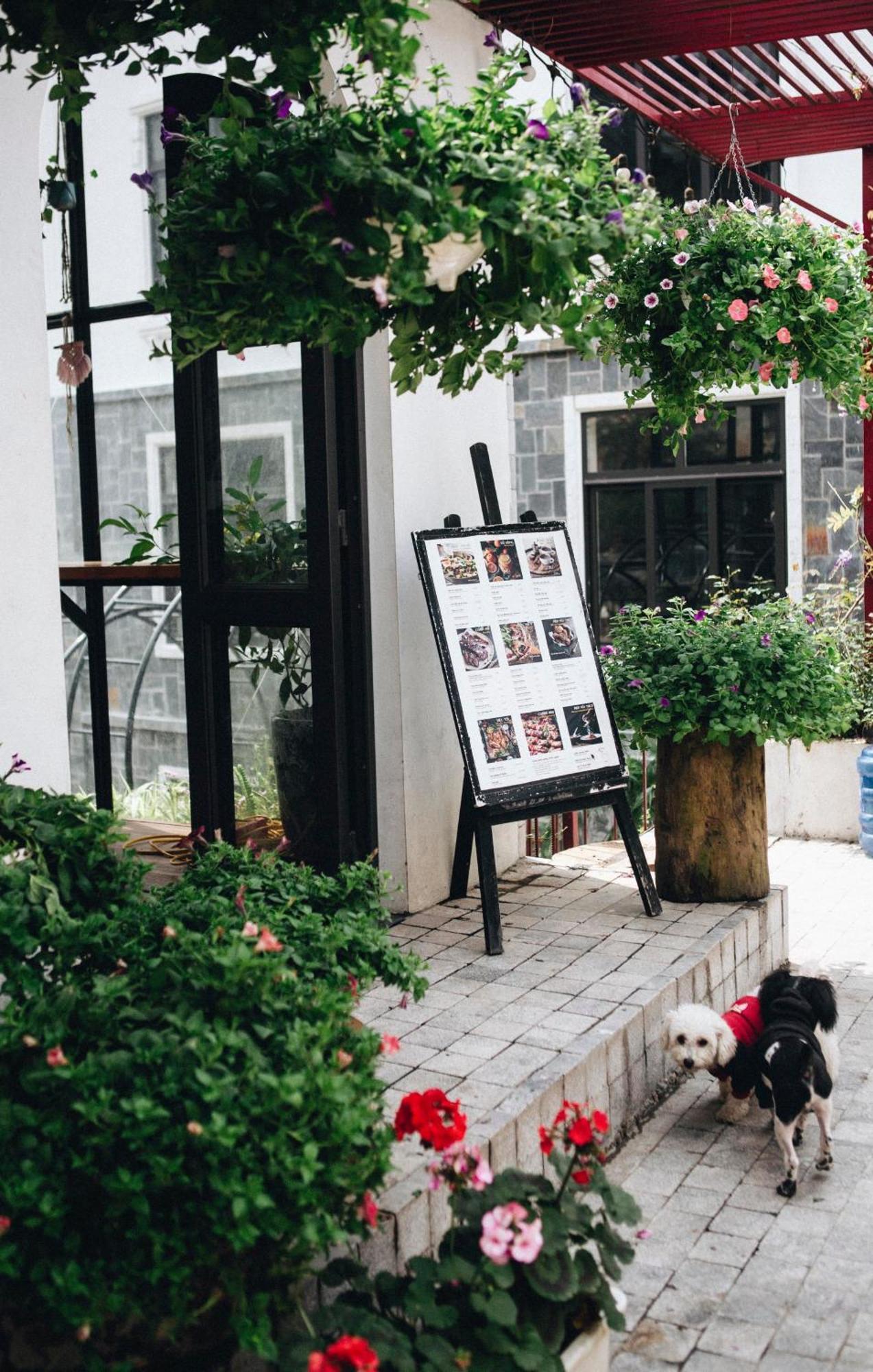 Le Vent Tam Dao Homestay Bagian luar foto